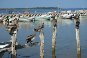 Holbox Destination picture